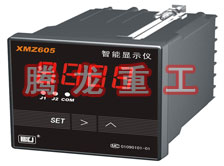 溫度表、數(shù)字顯示儀、濕度表